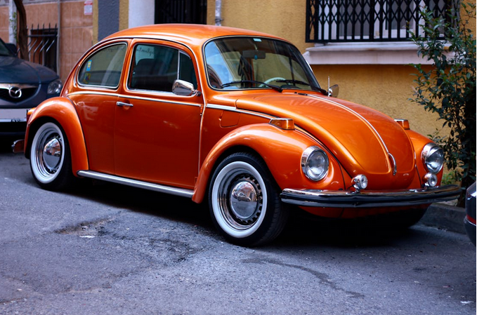 beetle